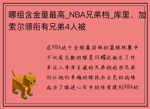 哪组含金量最高_NBA兄弟档_库里、加索尔领衔有兄弟4人被